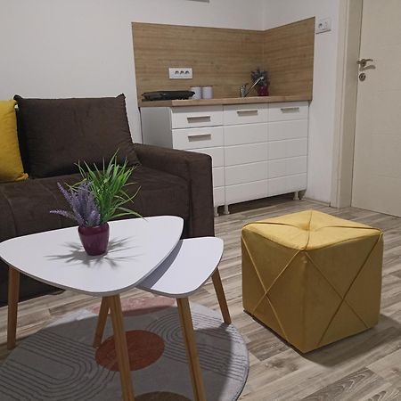 Vikendica Apartments Dunav Ms Celarevo Екстериор снимка
