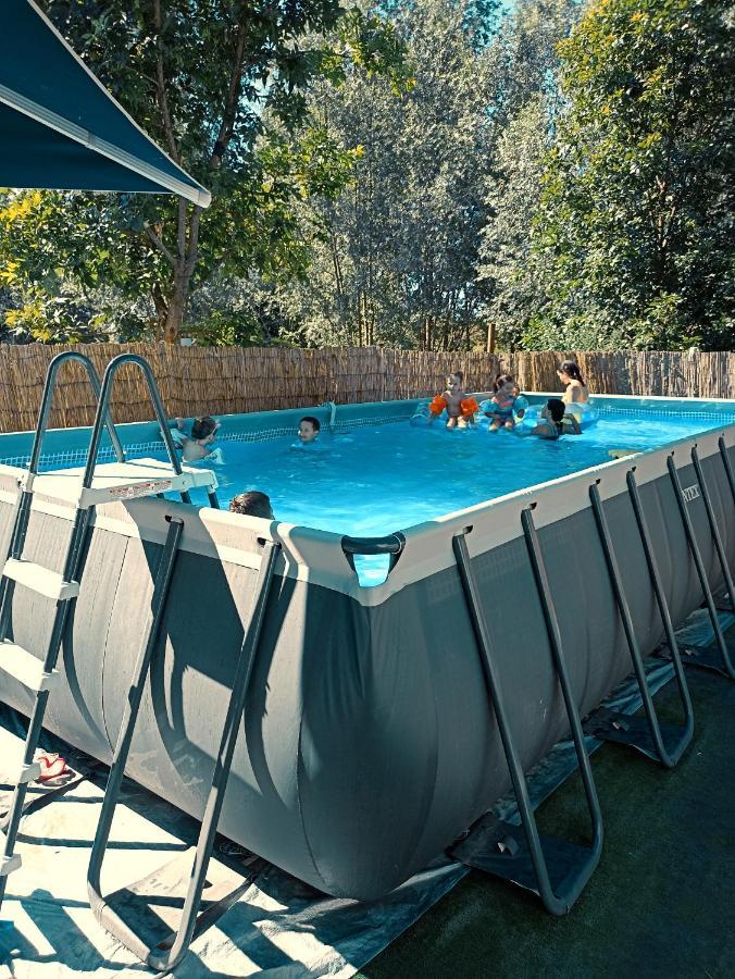 Vikendica Apartments Dunav Ms Celarevo Екстериор снимка